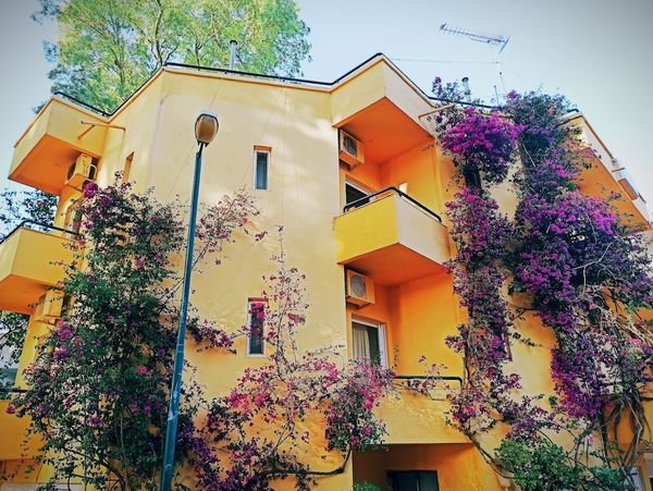 Drosia Hotel